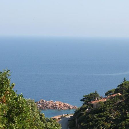 Sardinia Sea Vacation Villa Costa Paradiso Rom bilde